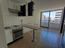 1 Habitación Apartamento en alquiler en Cordillera, Santiago, Puente Alto, Cordillera