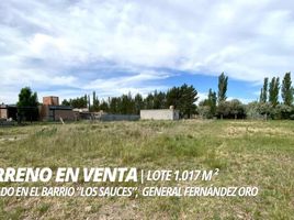  Terreno (Parcela) en venta en General Roca, Rio Negro, General Roca