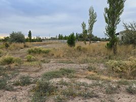  Terreno (Parcela) en venta en Rio Negro, General Roca, Rio Negro