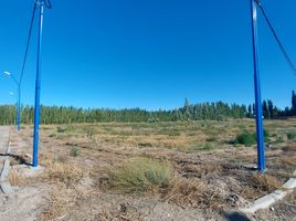  Terreno (Parcela) en venta en Rio Negro, General Roca, Rio Negro