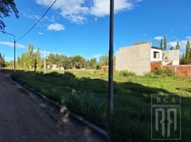  Land for sale in Confluencia, Neuquen, Confluencia