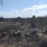  Land for sale in Neuquen, Confluencia, Neuquen