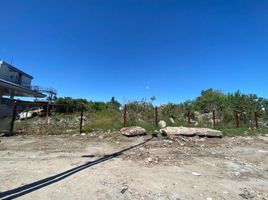  Grundstück zu verkaufen in Lomas De Zamora, Buenos Aires, Lomas De Zamora