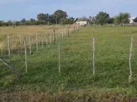  Terrain for sale in Carlos Casares, Buenos Aires, Carlos Casares