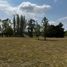  Land for sale in La Plata, Buenos Aires, La Plata