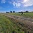  Land for sale in Colon, Entre Rios, Colon