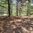  Land for sale in Exaltacion De La Cruz, Buenos Aires, Exaltacion De La Cruz