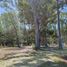  Land for sale in Exaltacion De La Cruz, Buenos Aires, Exaltacion De La Cruz