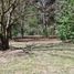  Land for sale in Exaltacion De La Cruz, Buenos Aires, Exaltacion De La Cruz