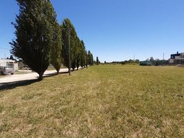  Land for sale in La Plata, Buenos Aires, La Plata