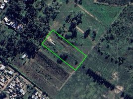  Land for sale in La Plata, Buenos Aires, La Plata