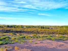  Land for sale in Rio Negro, El Cuy, Rio Negro