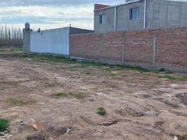  Terreno (Parcela) en venta en General Roca, Rio Negro, General Roca