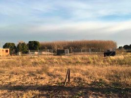  Land for sale in La Plata, Buenos Aires, La Plata