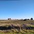  Land for sale in Patagones, Buenos Aires, Patagones