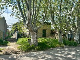 2 Schlafzimmer Villa zu verkaufen in Almirante Brown, Buenos Aires, Almirante Brown