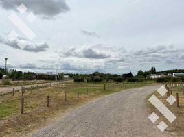  Land for sale in Neuquen, Confluencia, Neuquen