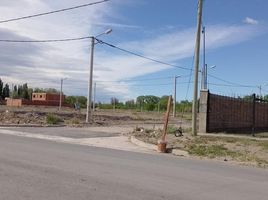  Terreno (Parcela) en venta en Confluencia, Neuquen, Confluencia