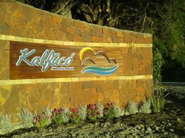  Land for sale in Cushamen, Chubut, Cushamen, Chubut
