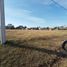  Land for sale in Gualeguaychu, Entre Rios, Gualeguaychu