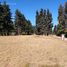  Land for sale in Rio Negro, Bariloche, Rio Negro