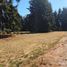  Land for sale in Rio Negro, Bariloche, Rio Negro