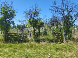  Terreno (Parcela) en venta en Rio Negro, General Roca, Rio Negro