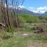  Land for sale in Cushamen, Chubut, Cushamen, Chubut