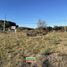  Land for sale in Colon, Entre Rios, Colon