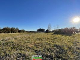  Land for sale in Colon, Entre Rios, Colon