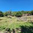  Land for sale in Santa Maria, Cordoba, Santa Maria