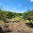  Land for sale in Santa Maria, Cordoba, Santa Maria