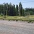  Land for sale in Neuquen, Confluencia, Neuquen