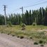  Terreno (Parcela) en venta en Neuquen, Confluencia, Neuquen