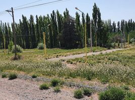  Terreno (Parcela) en venta en Neuquen, Confluencia, Neuquen