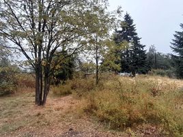  Grundstück zu verkaufen in Cushamen, Chubut, Cushamen, Chubut
