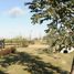  Land for sale in Canuelas Buenos Aires, Canuelas