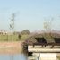  Land for sale in Canuelas Buenos Aires, Canuelas