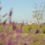  Land for sale in Canuelas Buenos Aires, Canuelas