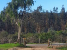  Terreno (Parcela) en venta en Chile, Lolol, Colchagua, Libertador General Bernardo O'Higgins, Chile
