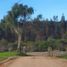  Terreno (Parcela) en venta en Chile, Lolol, Colchagua, Libertador General Bernardo O'Higgins, Chile