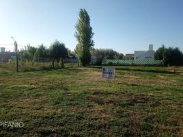  Land for sale in General Roca, Rio Negro, General Roca