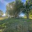 3 Habitación Casa en venta en Confluencia, Neuquen, Confluencia