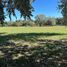  Land for sale in Capital, Cordoba, Capital