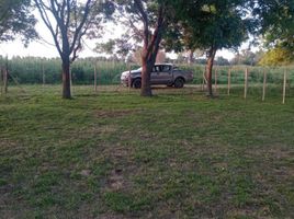  Land for sale in La Plata, Buenos Aires, La Plata