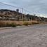  Land for sale in Confluencia, Neuquen, Confluencia