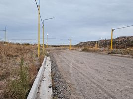  Land for sale in Neuquen, Confluencia, Neuquen