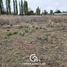  Land for sale in Neuquen, Confluencia, Neuquen