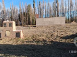  Land for sale in Neuquen, Confluencia, Neuquen