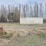  Land for sale in Neuquen, Confluencia, Neuquen